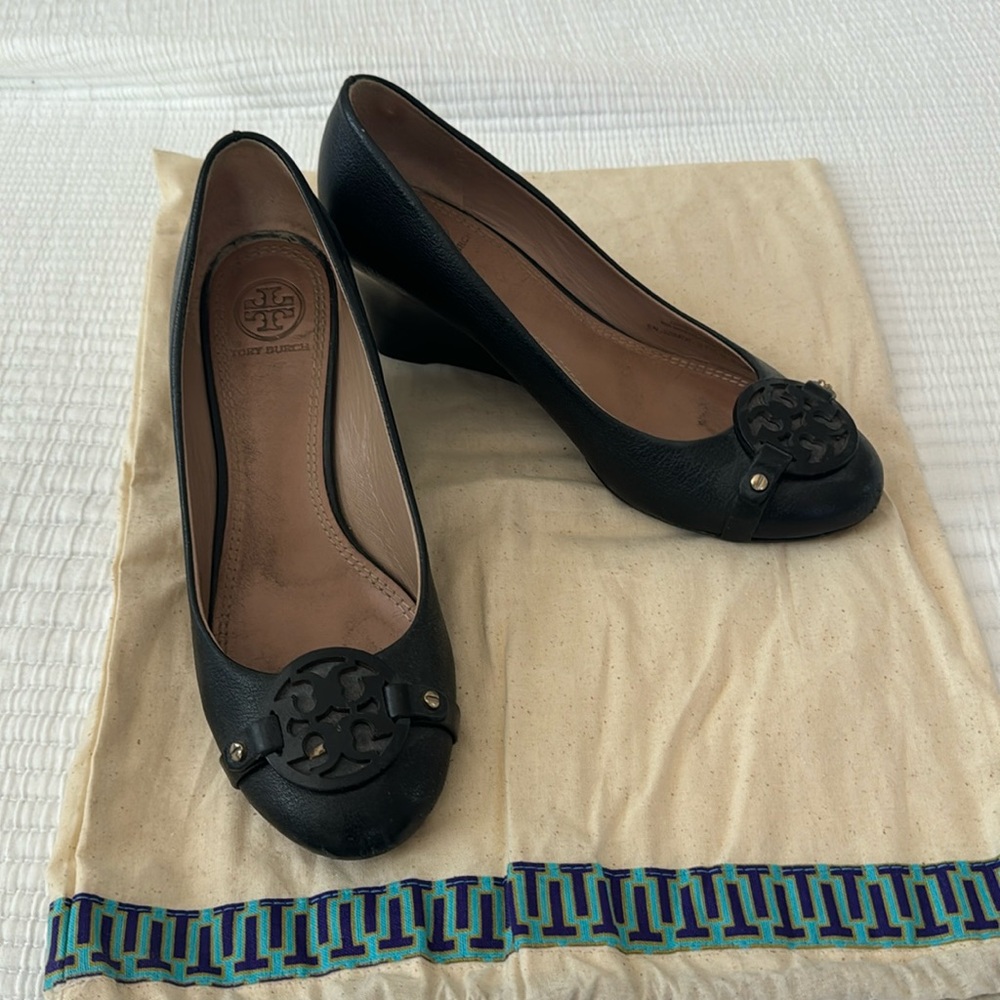 Wedge pumps